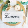 napkin place setting