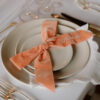 Personalised Wedding Hankies and Velvet Bow Napkins at Dewsall Court